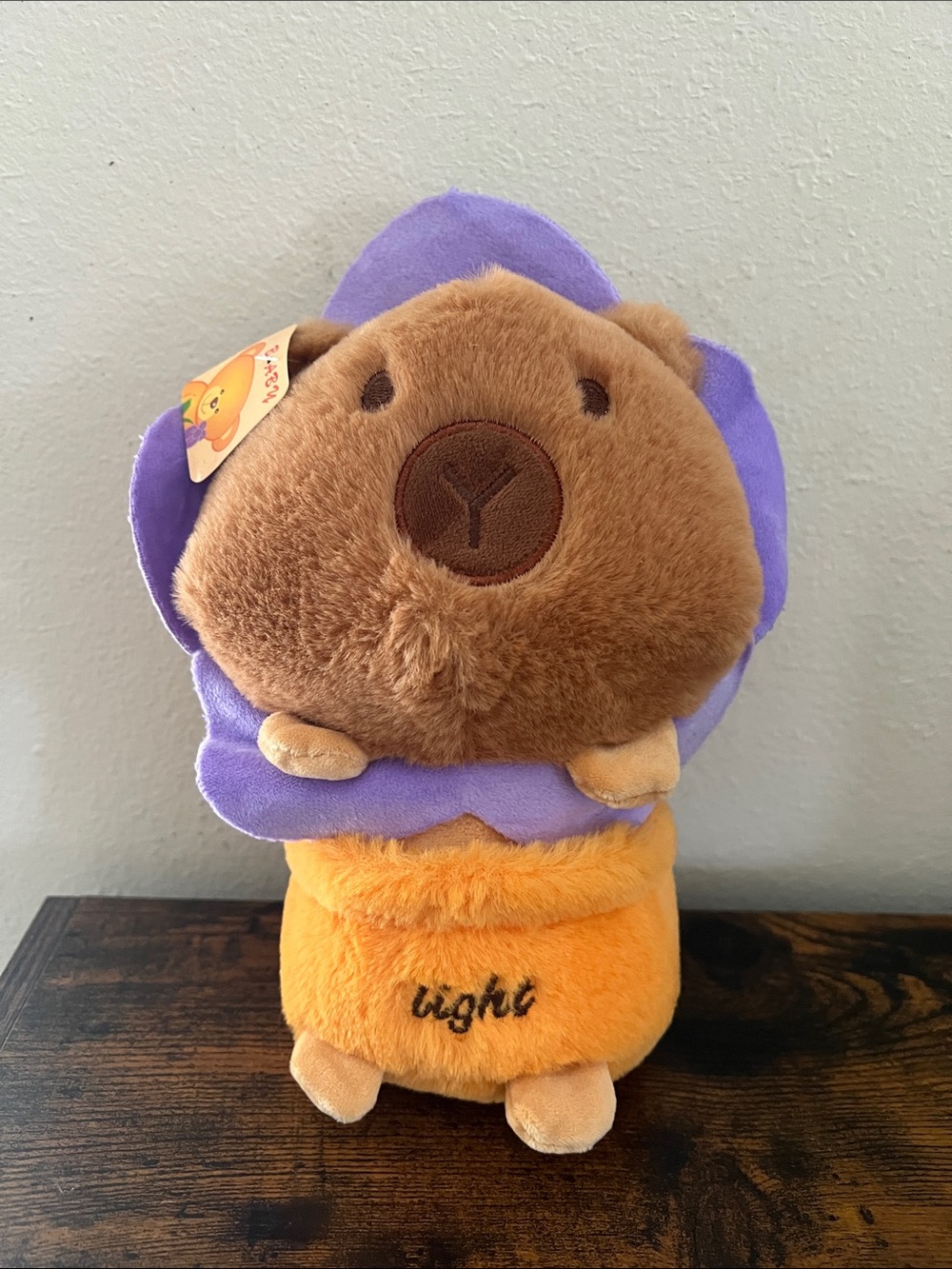 Capybara Plush Stuffed Animal Cute Gift